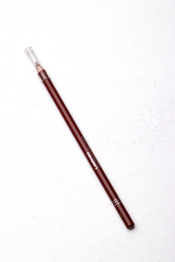 CELEBRATE - Delineador de labios Send Nudes